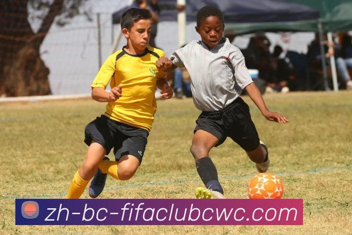 多媒体互动体验