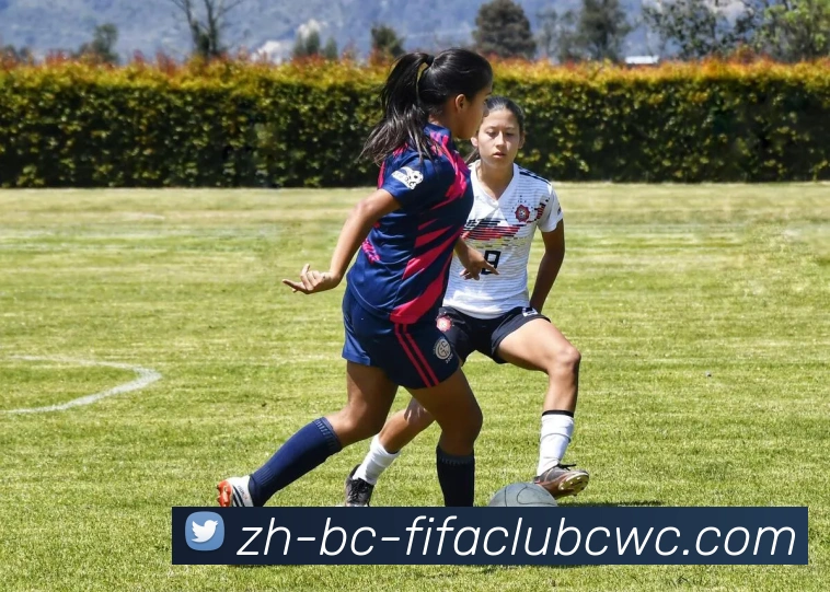 世界杯平台APP 高清赛事图